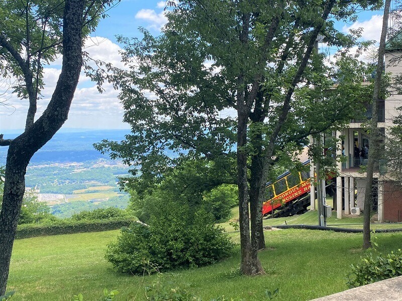 Trees growing on top of Lookout Mountain and in the background a red and yellow railway car departing from the upper station