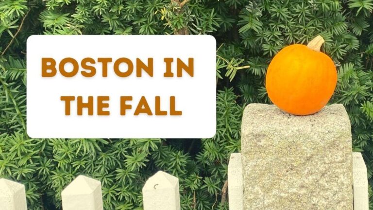 Little pumpkin on a fence in front of evergreen foliage with text Boston in the Fall