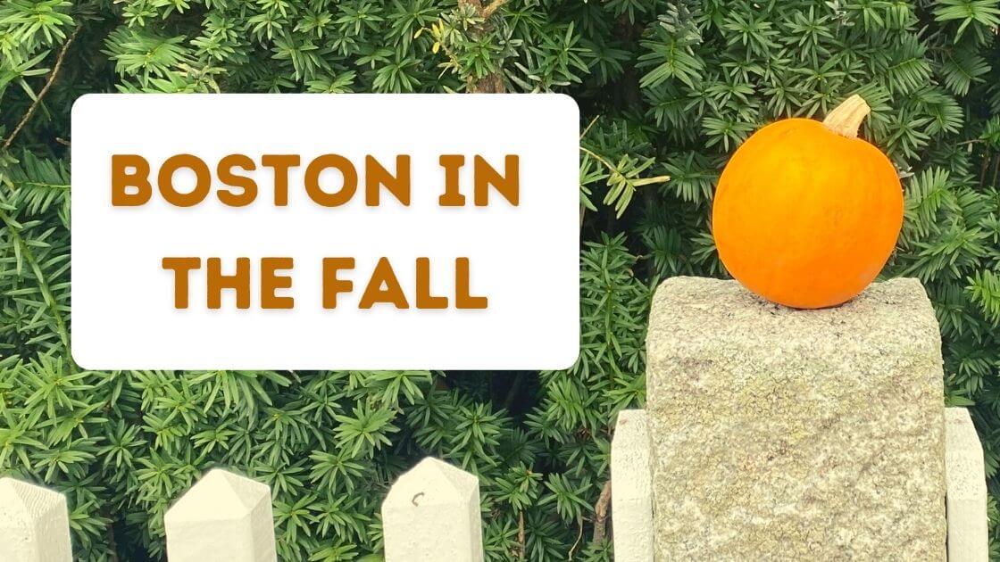 Little pumpkin on a fence in front of evergreen foliage with text Boston in the Fall