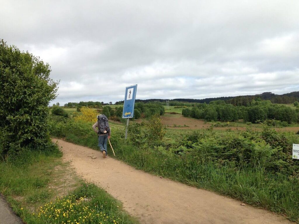 A pilgrim with a backpack and a walking stick walks along a dirt path through forested fields