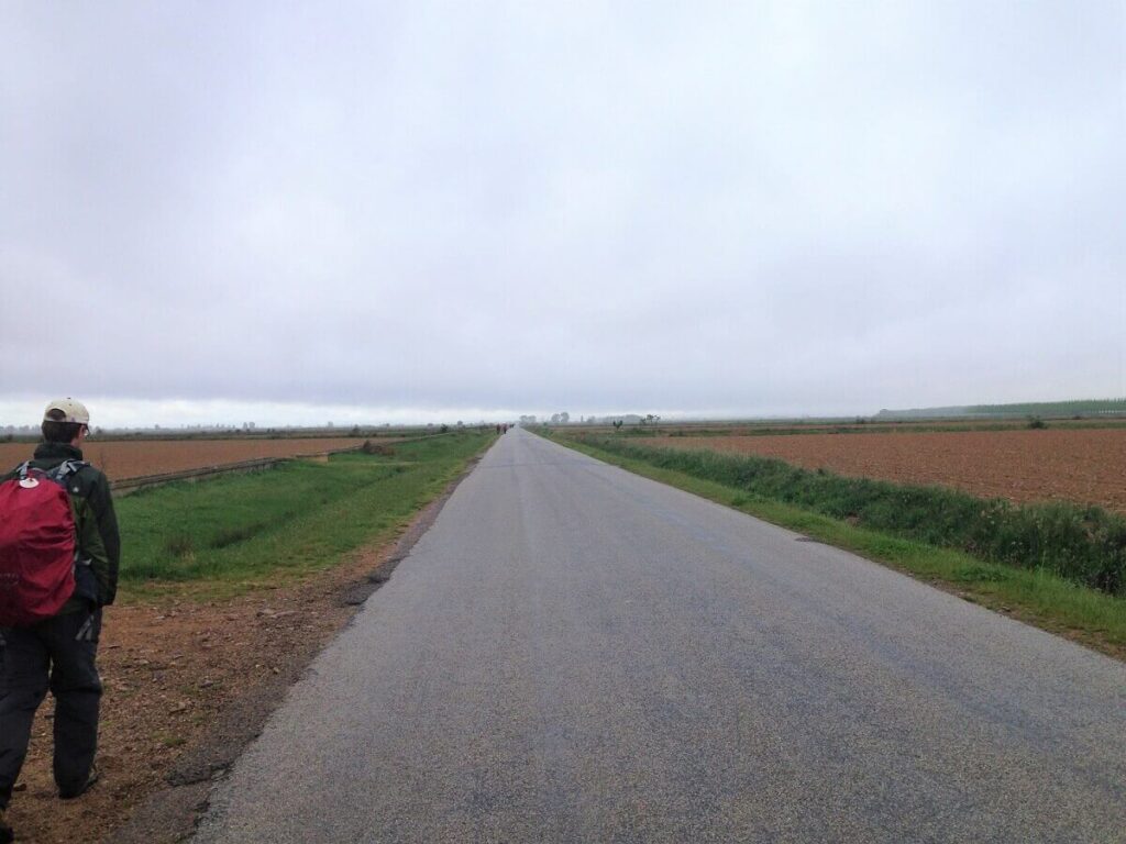 A pilgrim with a large backpack walks along a paved road through farmland