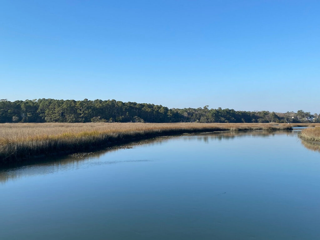 An open expanse of water with marsh grass in the background