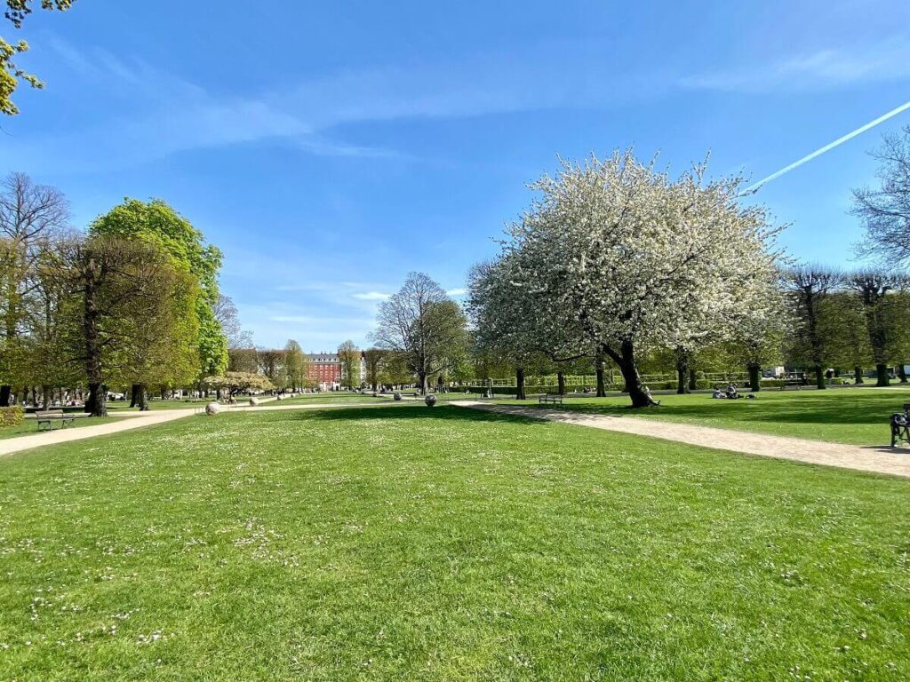 A green lawn stretches into the distance with walking paths and flowering trees around it
